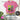 Disney World 4 Parks 1 Day Challenge T-Shirt | Challenge Accepted Park Hopper Tee | Disney Vacation Shirt - Park Shirts Store