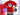 Personalized Mickey Mouse Club Youth Shirt | Custom Name & Year Tee | Retro Mickey Kids Shirt | Disney Vacation Shirt | Club Member -Disney Park Shirts- Park Shirts Store