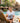 Aulani Disney Resort Wailana Pool Bar Shirt