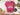 4 Parks 1 Day Disney Shirt | White Print | Disney World Vacation Tee | Disney Park Hopper Shirt | 4 Parks 1 Day Challenge | Family Shirt -Disney Park Shirts- Park Shirts Store