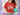 4 Parks 1 Day Challenge Accepted Shirt | Disney Park Hopper Tee | Disney World Vacation Shirt | Disney Family Matching Shirt | 4 Parks 1 Day -Disney Park Shirts- Park Shirts Store