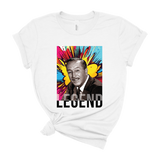 Walt Disney Pop Art - Legend - Park Shirts Store